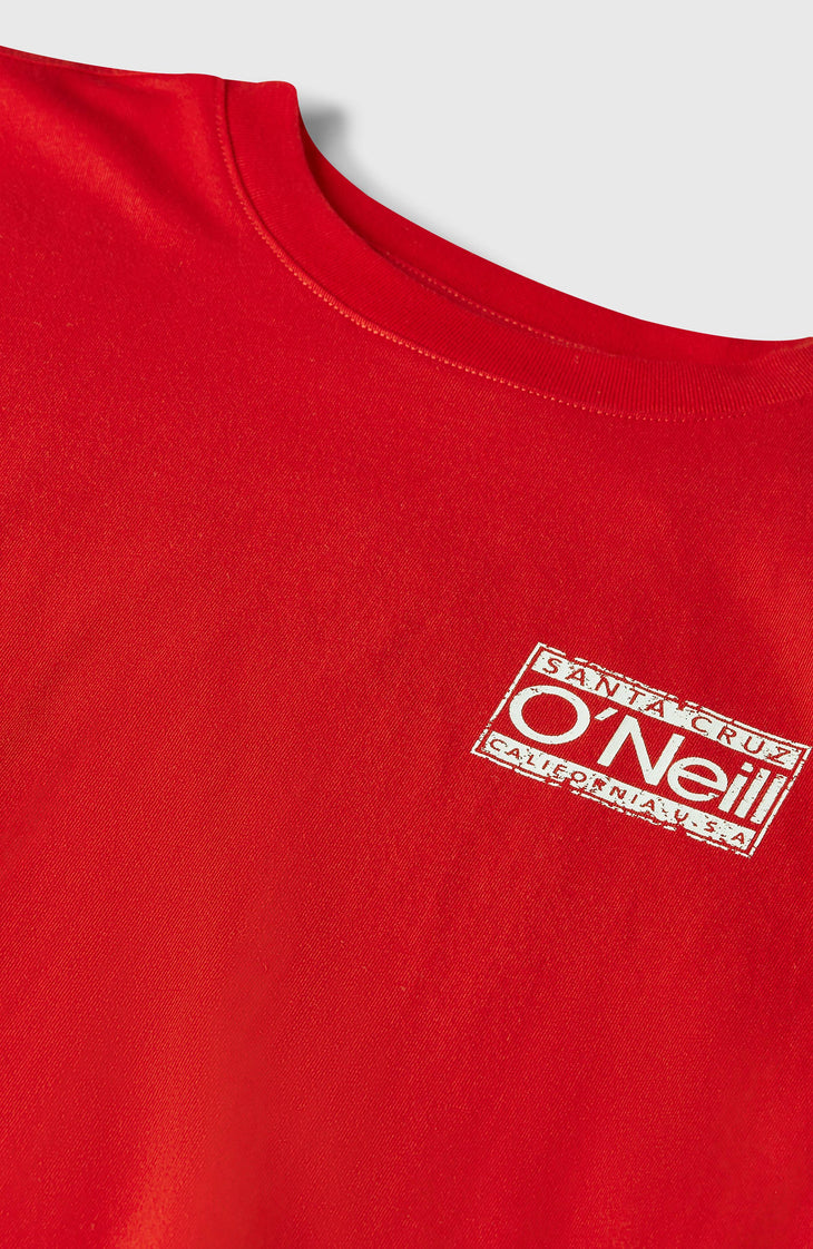 O'Neill Cali T-shirt | High Risk Red