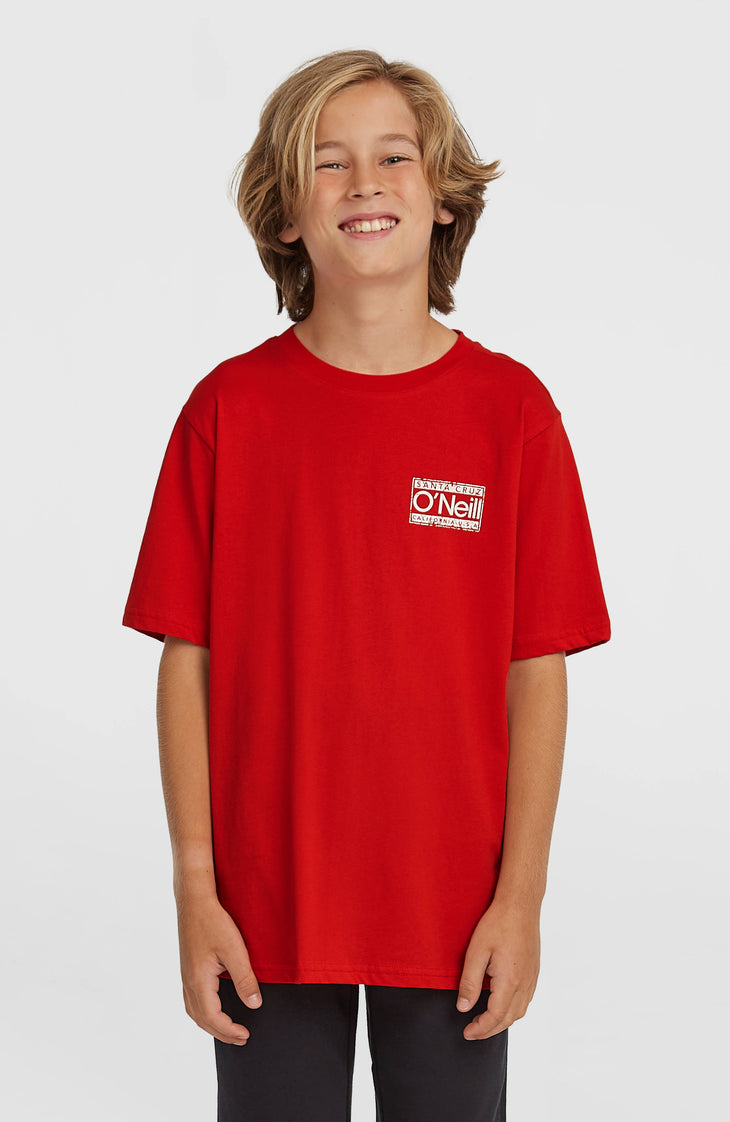 O'Neill Cali T-shirt | High Risk Red