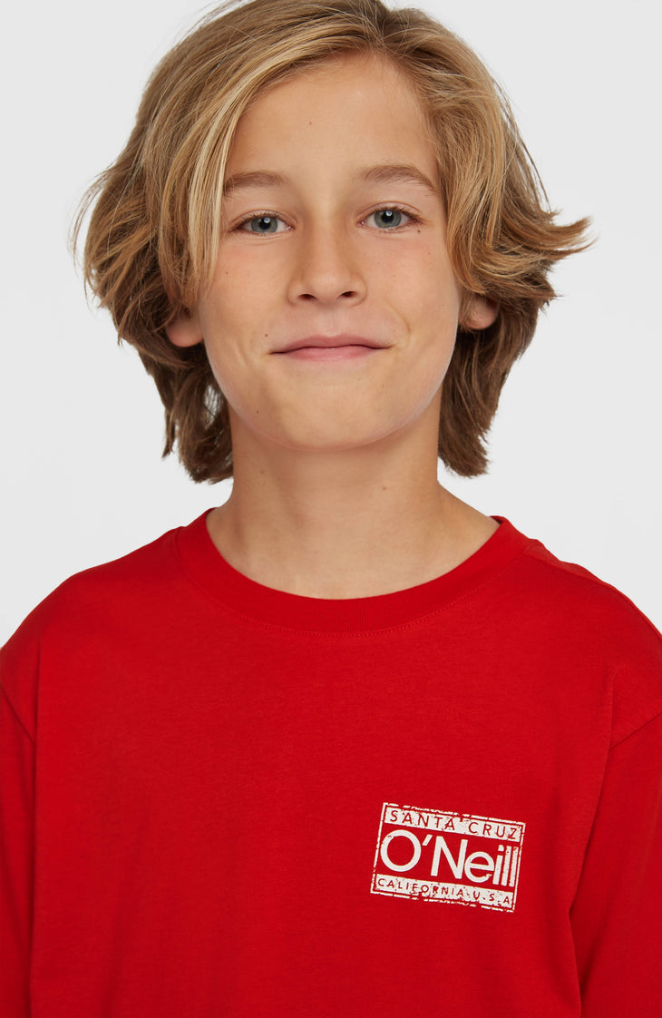 O'Neill Cali T-shirt | High Risk Red