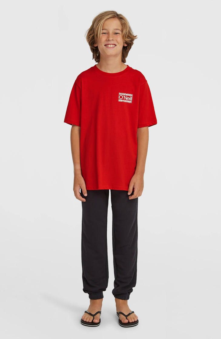 O'Neill Cali T-shirt | High Risk Red