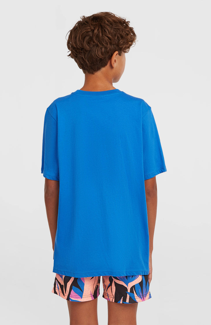 O'Neill Muir T-shirt | Mediterranean Blue
