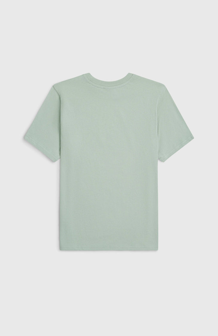 O'Neill Muir T-shirt | Marble Arch