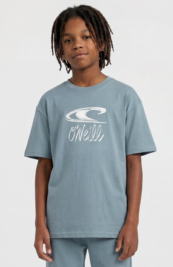 Essentials T-shirt | Murky Water