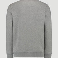 O'Neill Triple Stack Crew Sweatshirt | Silver Melee -A