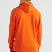 Circle Surfer Hoodie | Puffin's Bill