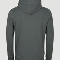 Circle Surfer Hoodie | Balsam Green