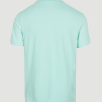 Polo O'Neill Small Logo | Beach Glass