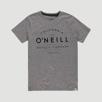 O'Neill T-Shirt | Silver Melee -A