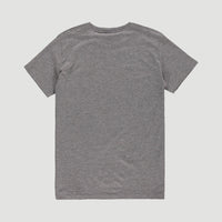 O'Neill T-Shirt | Silver Melee -A