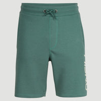 Sweatshort O'Neill Logo | Sea Pine