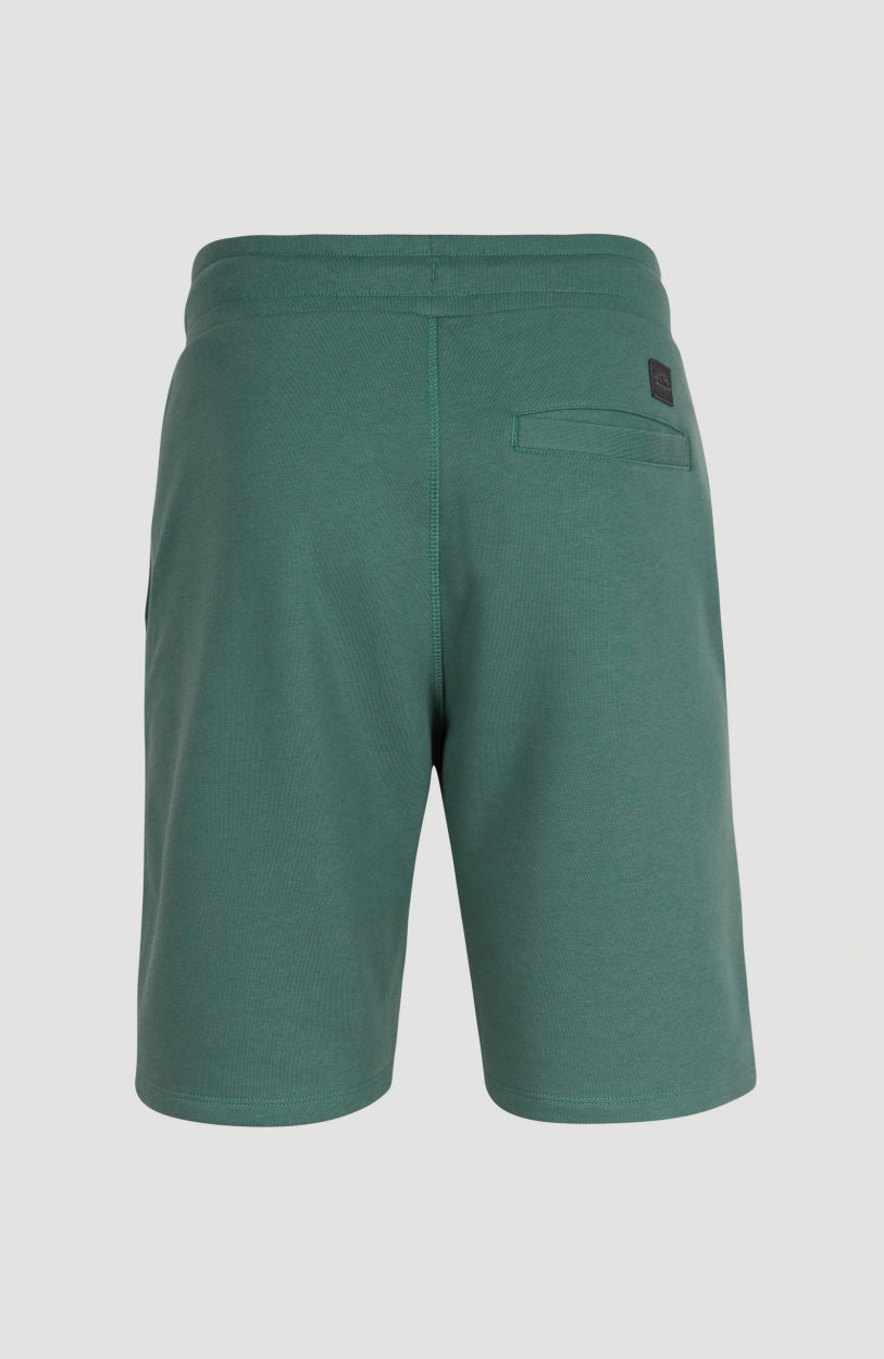Sweatshort O'Neill Logo | Sea Pine