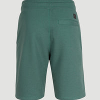 Sweatshort O'Neill Logo | Sea Pine