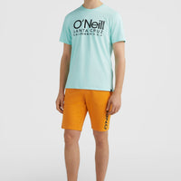 Sweatshort O'Neill Logo | Nugget