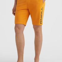 Sweatshort O'Neill Logo | Nugget