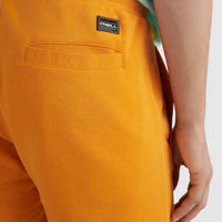 Sweatshort O'Neill Logo | Nugget