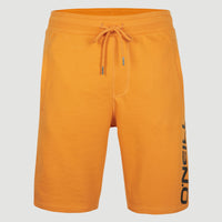 Sweatshort O'Neill Logo | Nugget