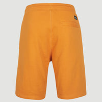 Sweatshort O'Neill Logo | Nugget