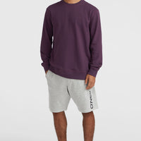 Sweatshort O'Neill Logo | Silver Melee -A