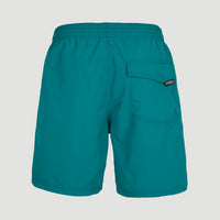 Zwemshort Vert 16'' | Blue Coral