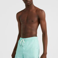 Zwemshort Vert 16'' | Beach Glass