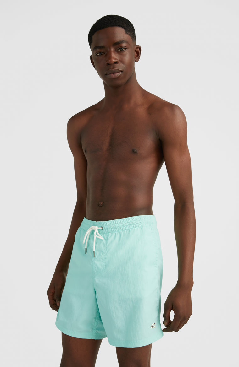 Zwemshort Vert 16'' | Beach Glass