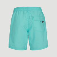 Zwemshort Vert 16'' | Aqua Spalsh