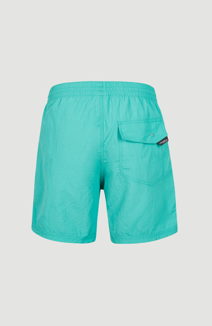 Zwemshort Vert 16'' | Sea Green