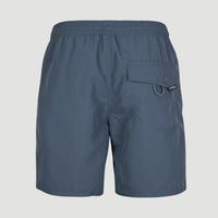 Zwemshort Vert 16'' | Dusty Blue -A