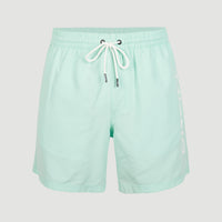 Zwemshort Cali 16'' | Beach Glass