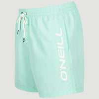 Zwemshort Cali 16'' | Beach Glass