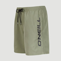 Zwemshort Cali 16'' | Deep Lichen Green