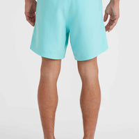 Zwemshort Cali 16'' | Aqua Spalsh