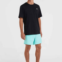 Zwemshort Cali 16'' | Aqua Spalsh