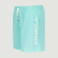 Zwemshort Cali 16'' | Aqua Spalsh