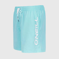 Zwemshort Cali 16'' | Aqua Spalsh