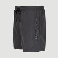 Zwemshort Cali 16'' | Asphalt