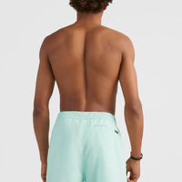 Zwemshort Original Cali 16'' | Beach Glass