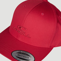 O'Neill Logo Wave pet | Plaid