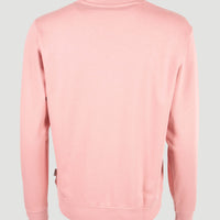 Women of the Wave Crew sweater | Genuine Pink