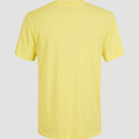 T-shirt Essentials met V-hals | Sunshine