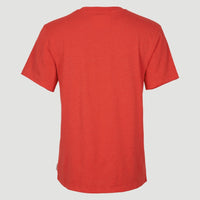 T-shirt Essentials met V-hals | Sunrise Red