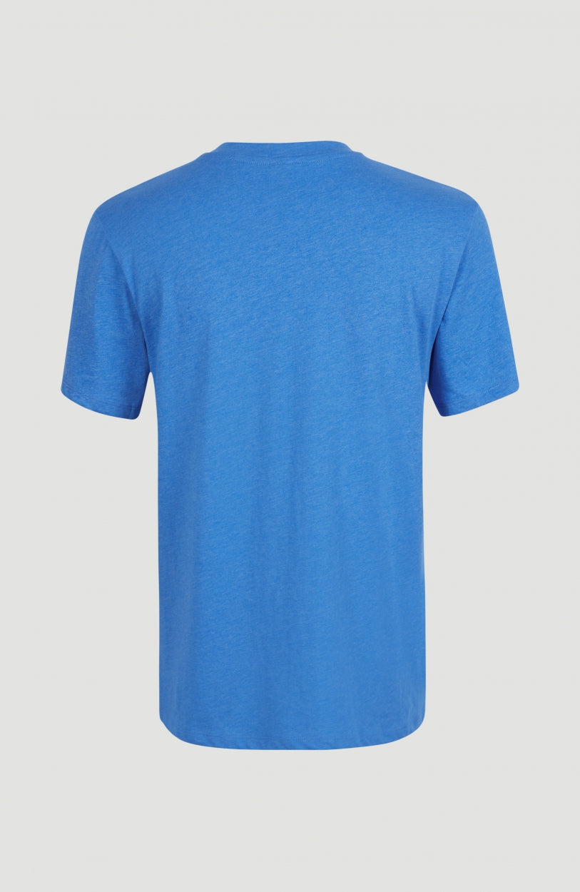 T-shirt Essentials met V-hals | Palace Blue