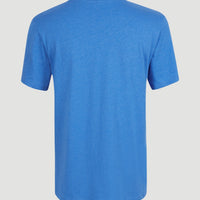 T-shirt Essentials met V-hals | Palace Blue