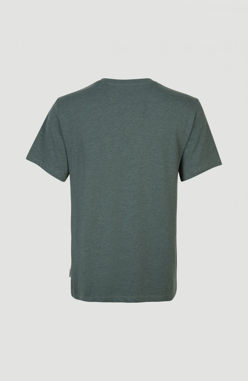 T-shirt Essentials met V-hals | Balsam Green