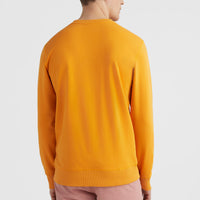 O'Neill Logo Crew sweater | Nugget