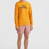 O'Neill Logo Crew sweater | Nugget