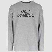 Sweater O'Neill Logo Crew | Silver Melee