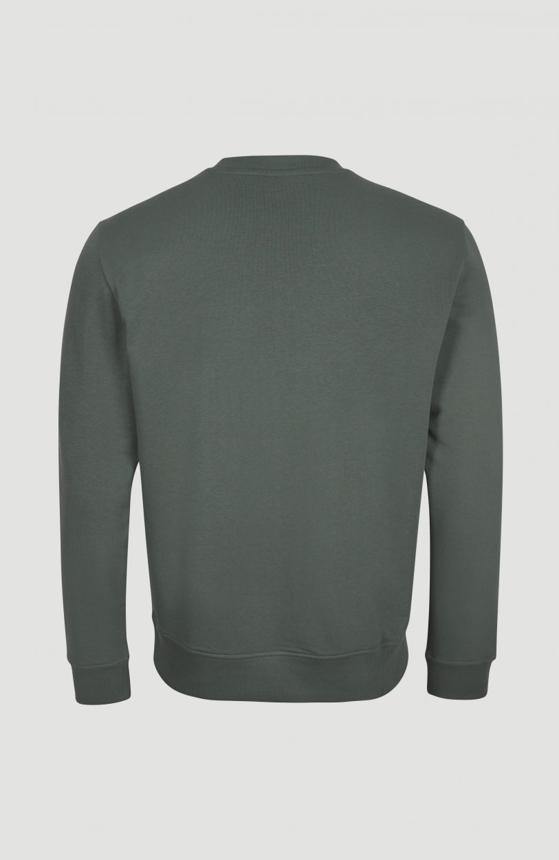 O'Neill Damen Circle Surfer Crew Sweatshirt – Lässiges Sweatshirt Mit Logo, Reguläre Passform, Rippbündchen
