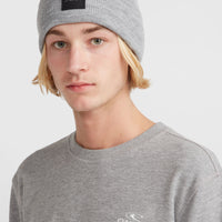 O'Neill Small Logo Crew sweater | Silver Melee