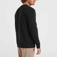 O'Neill Small Logo Crew sweater | Black Out